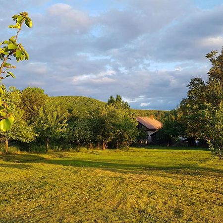 Tepke Guesthouse Garáb Esterno foto